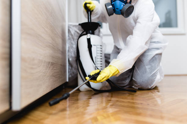 Trusted Cleveland, GA Pest Control Experts