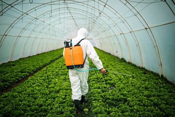 Best Local Pest Control Services  in Cleveland, GA