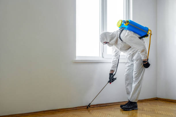 Pest Control for Restaurants in Cleveland, GA