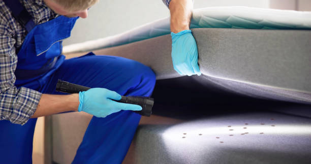 Best Pest Inspection Near Me  in Cleveland, GA