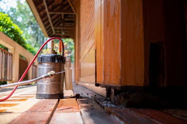 Best Best Pest Control Companies  in Cleveland, GA