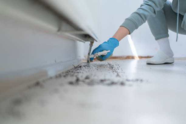 Best Emergency Pest Control  in Cleveland, GA