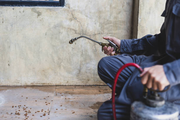 Pest Prevention Services in Cleveland, GA